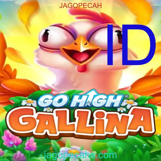 GoHighGallina